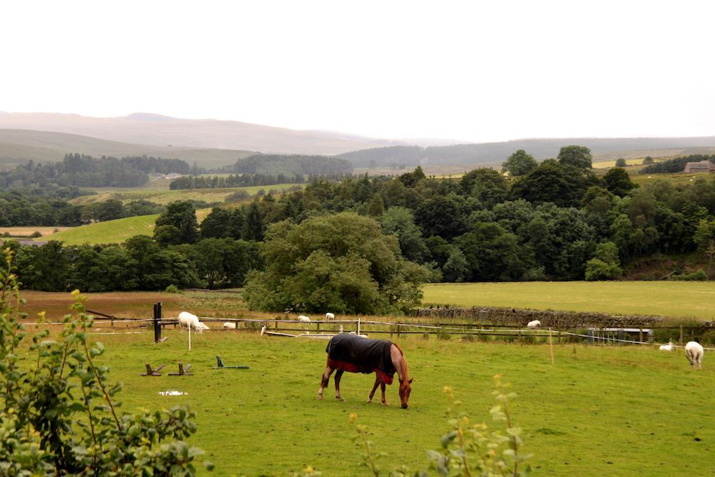 Hollybush Inn Greenhaugh Экстерьер фото